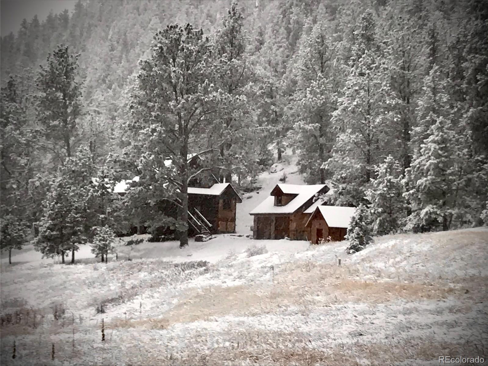 89 Ranch View Florissant CO 80816