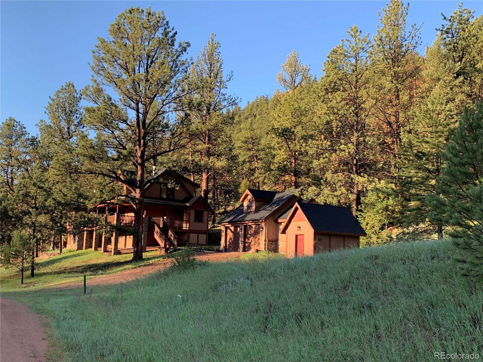 89 Ranch View Florissant CO 80816