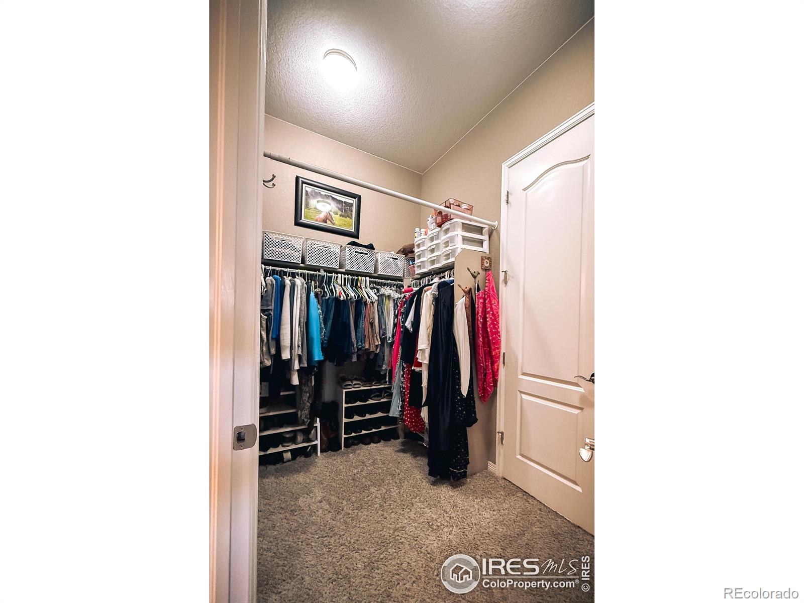 2083 Vineyard Drive Windsor CO 80550