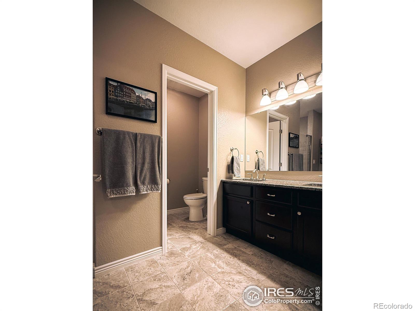 2083 Vineyard Drive Windsor CO 80550