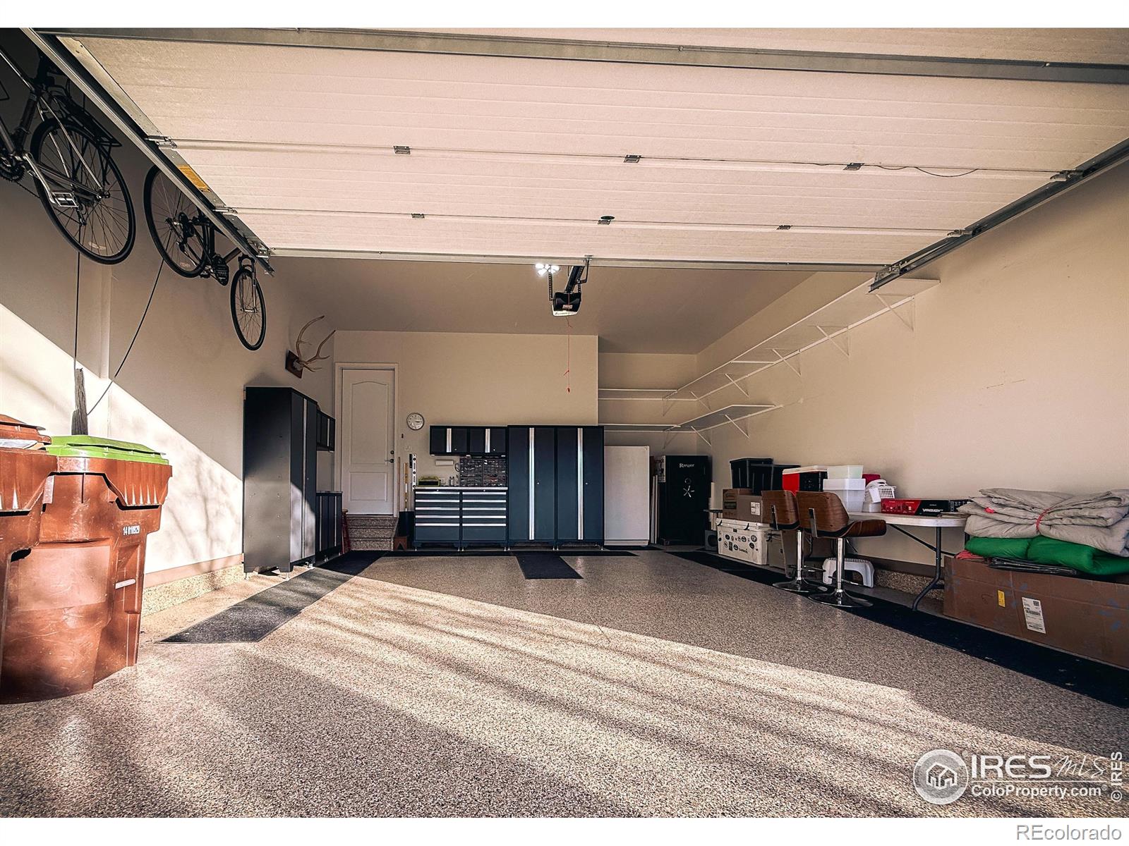 2083 Vineyard Drive Windsor CO 80550
