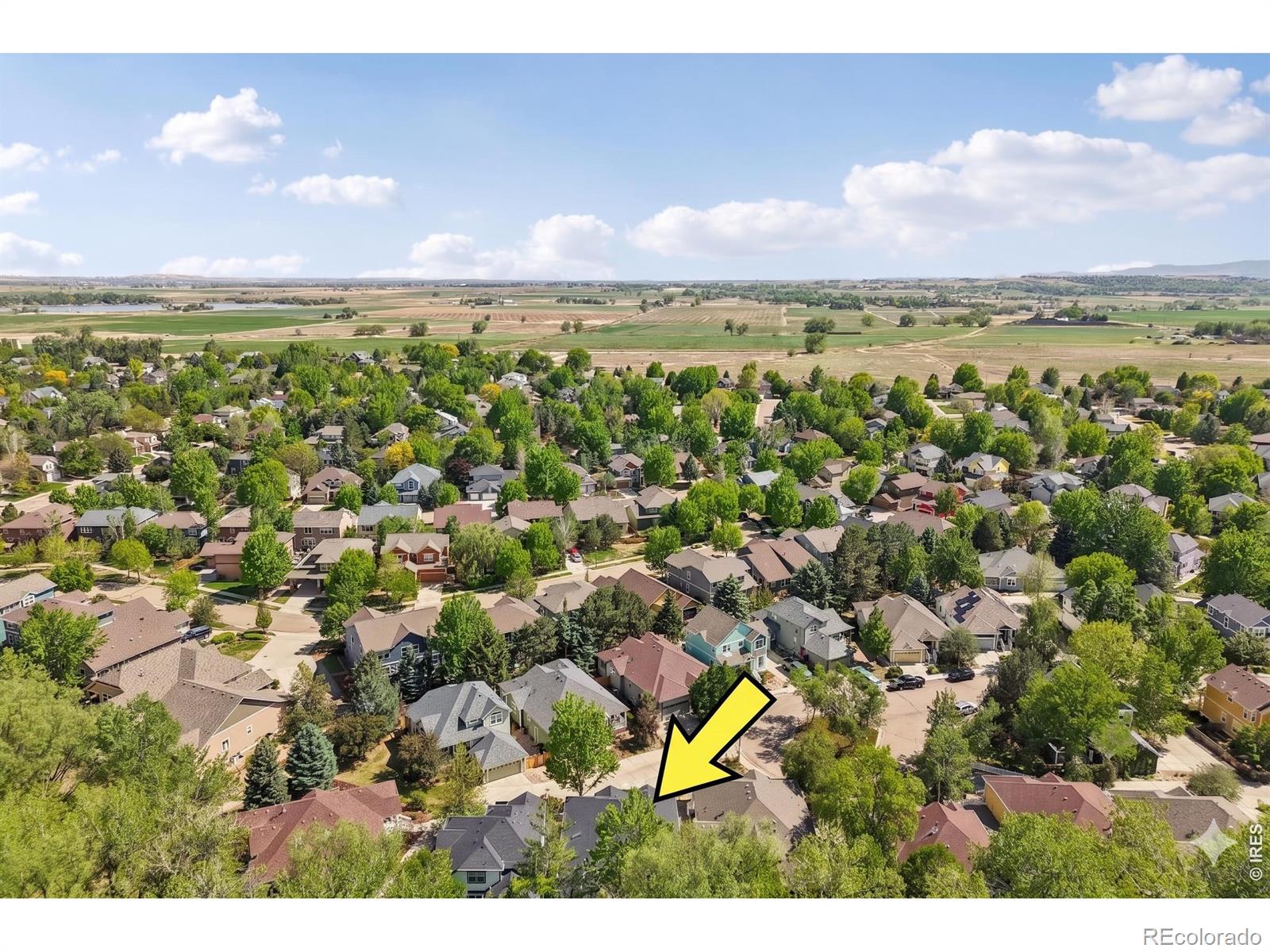 2105 Springs Place Longmont CO 80504