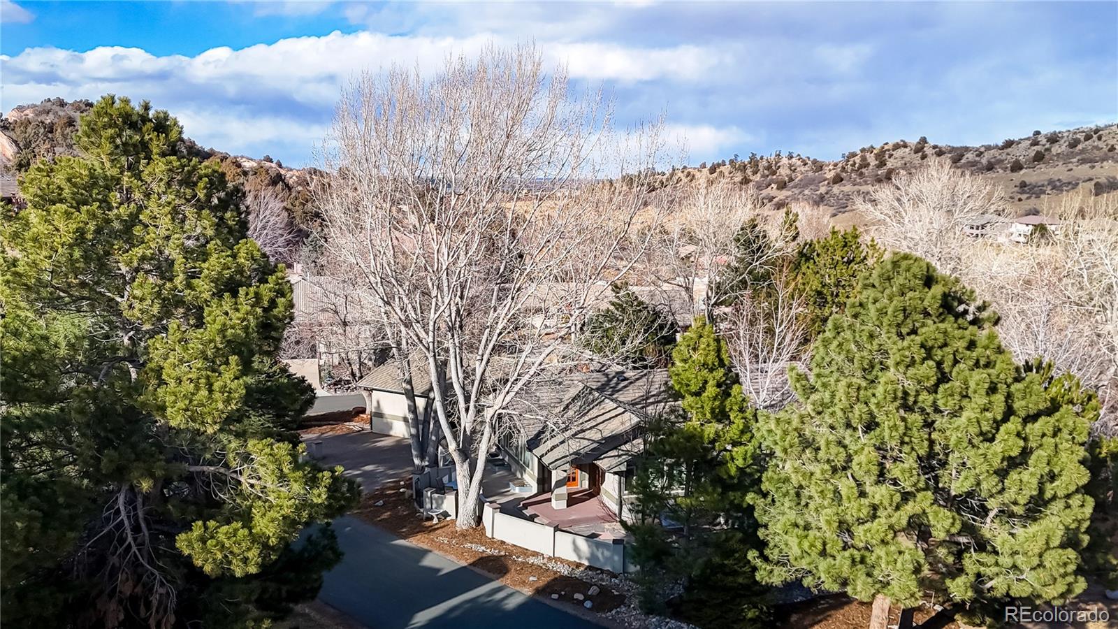10507 Brown Fox Trail Littleton CO 80125