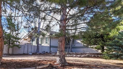10507 Brown Fox Trail Littleton CO 80125