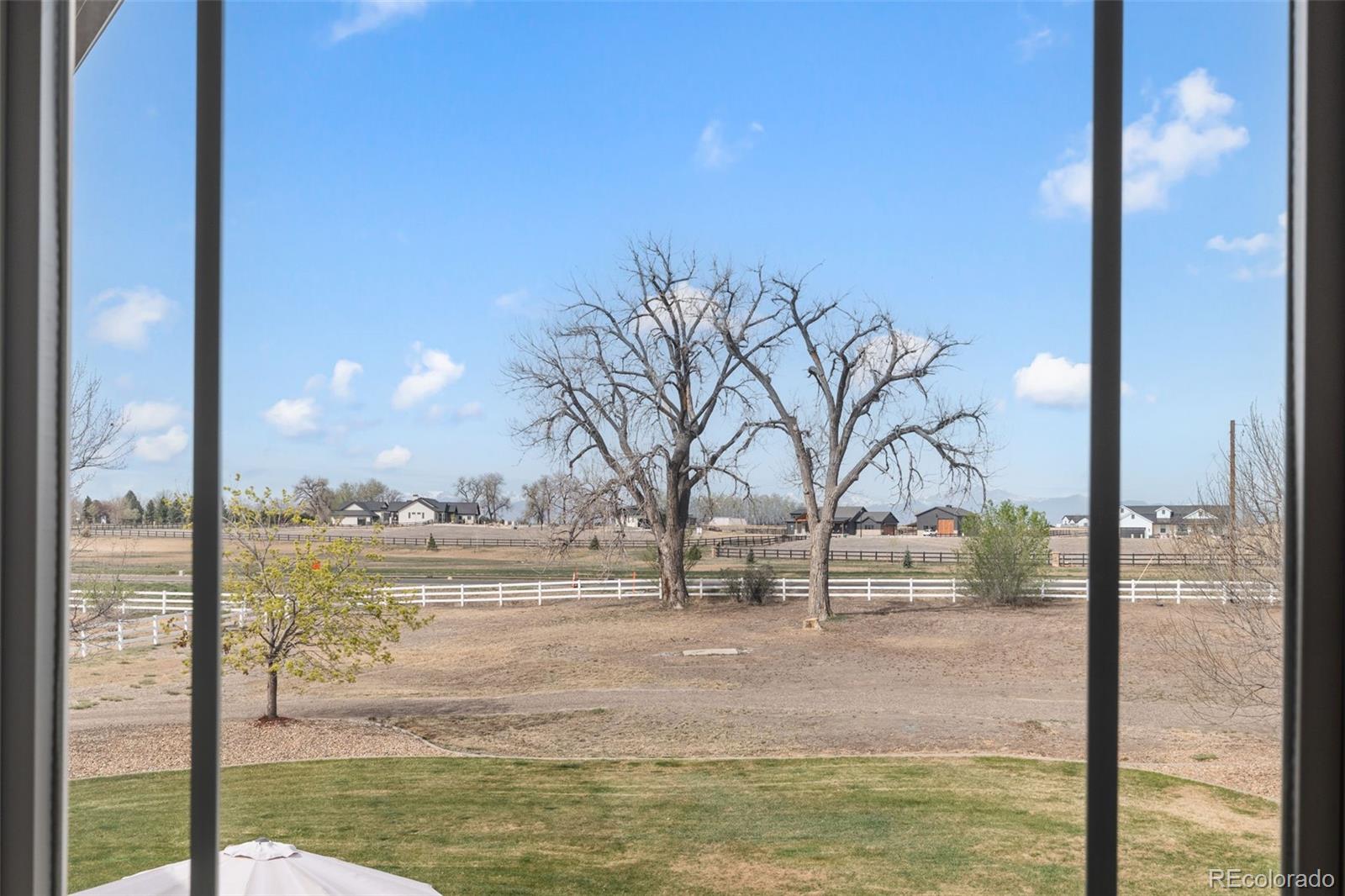 104 Silo Court Mead CO 80542