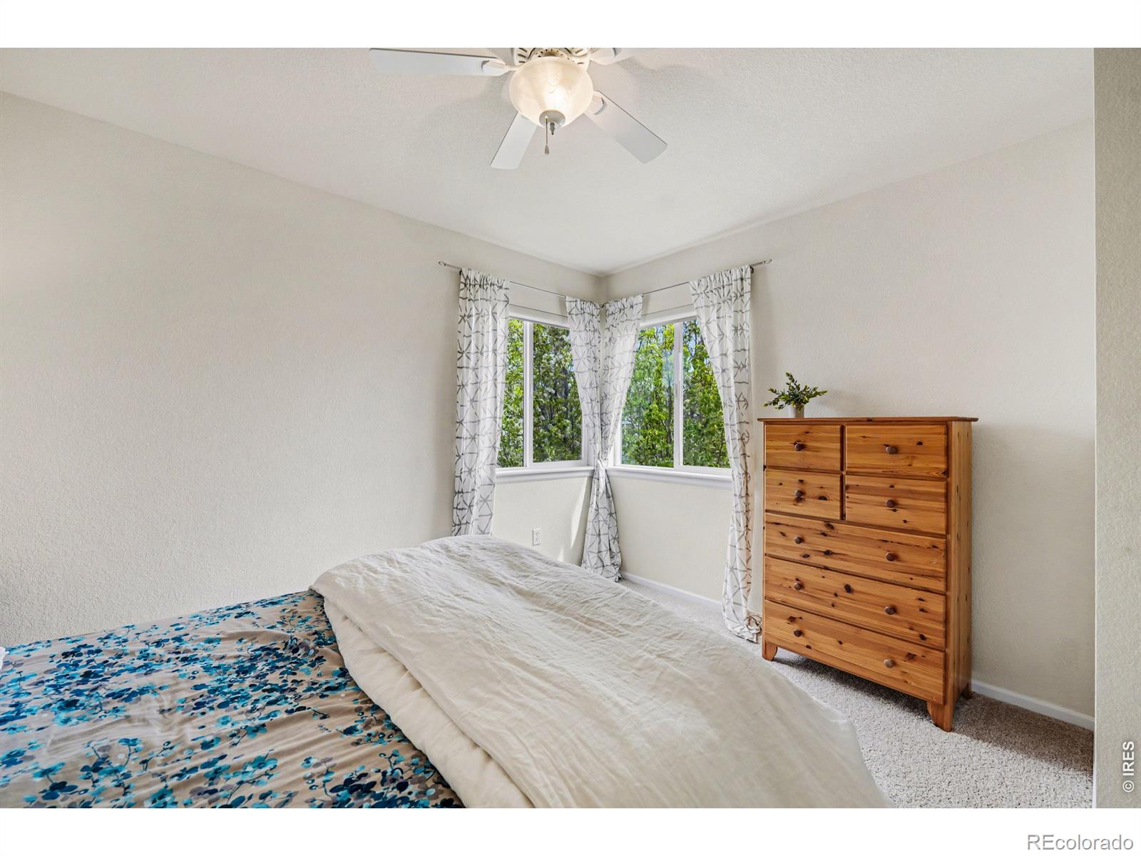 3650 Observatory Drive Fort Collins CO 80528