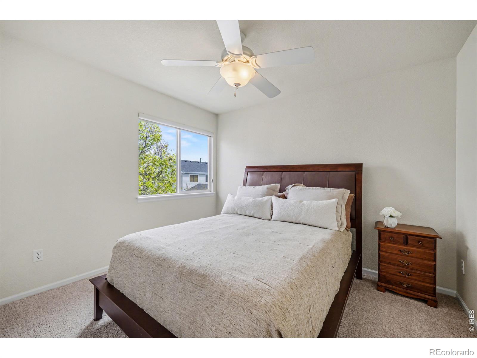 3650 Observatory Drive Fort Collins CO 80528