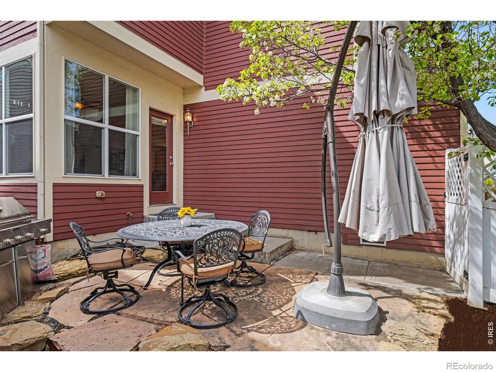 3650 Observatory Drive Fort Collins CO 80528