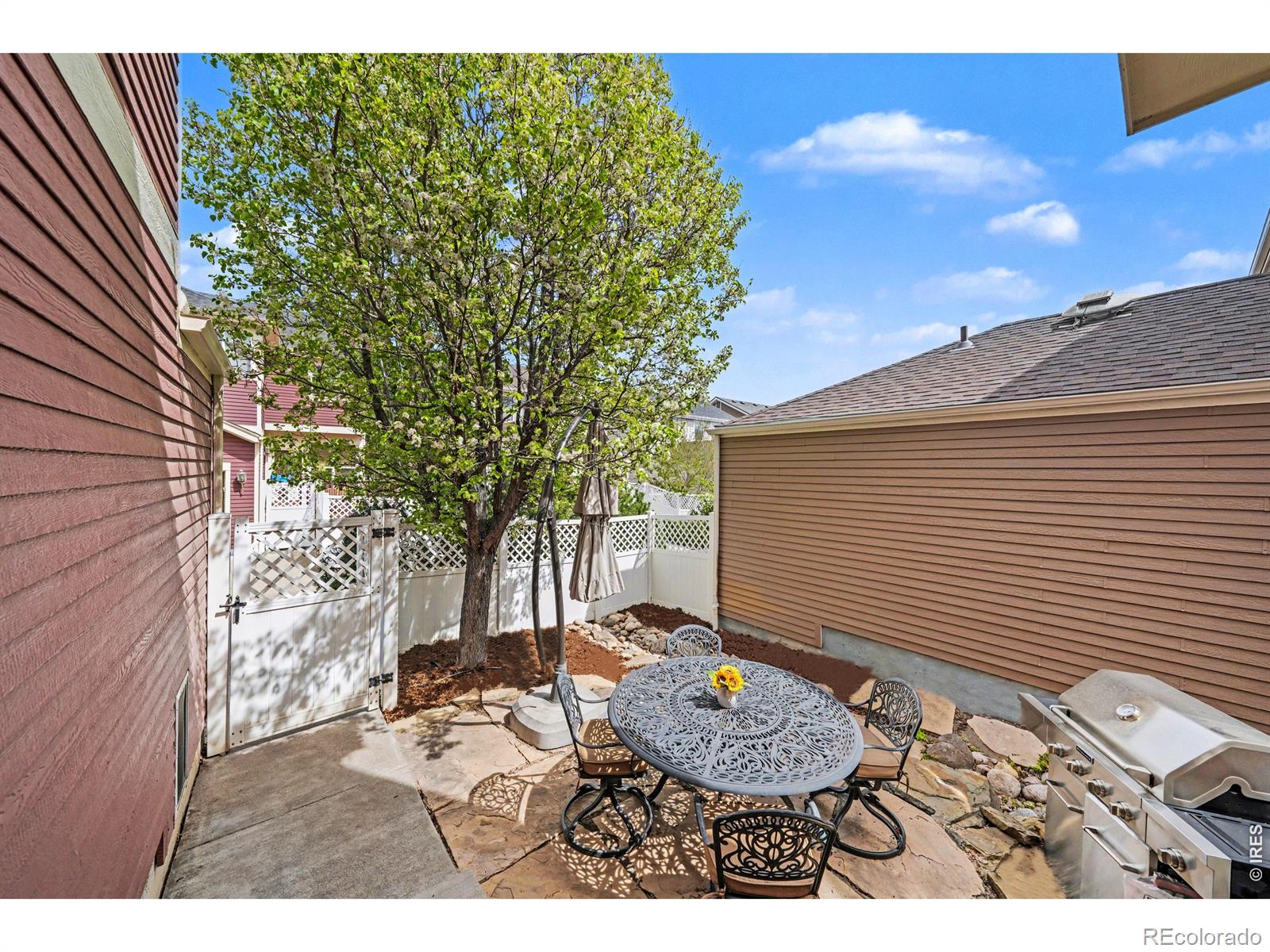 3650 Observatory Drive Fort Collins CO 80528
