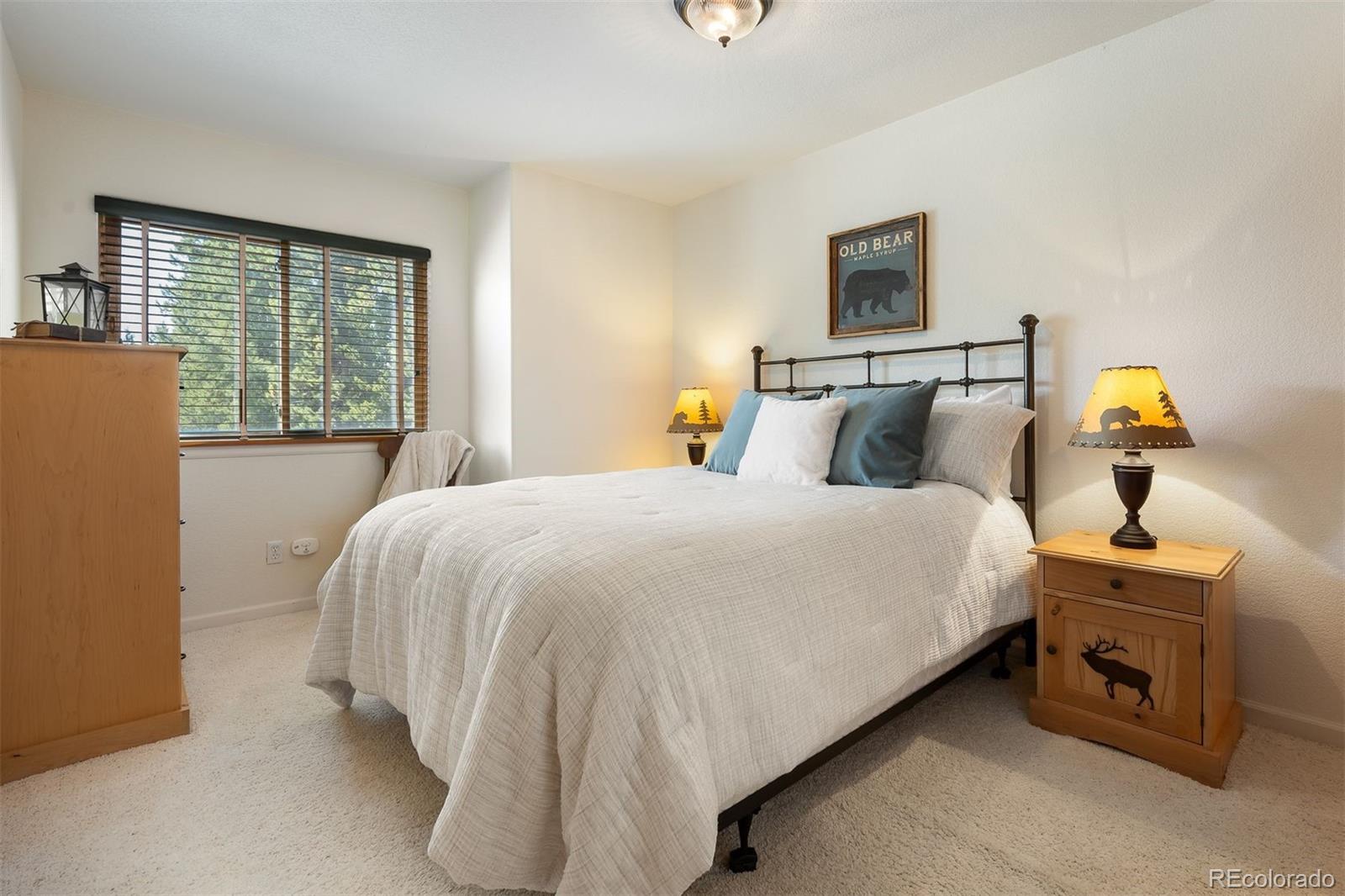 787 Mulligan Street Fraser CO 80442