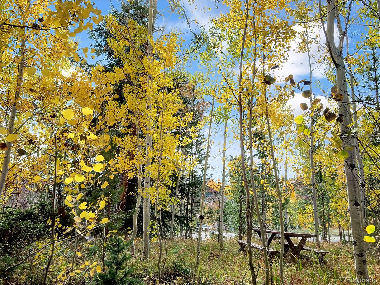 28 Sky Pilot Drive Silverthorne CO 80498