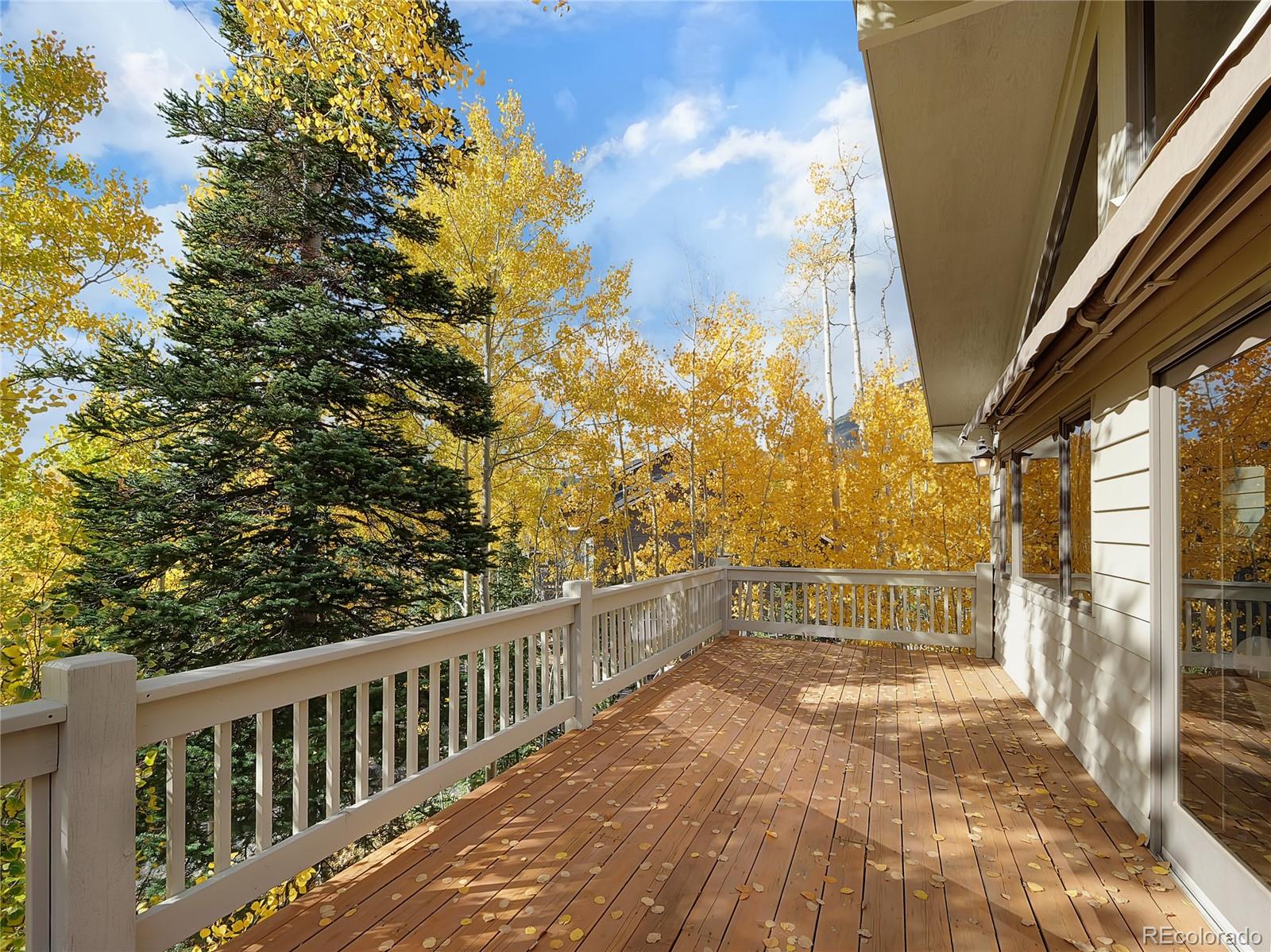 28 Sky Pilot Drive Silverthorne CO 80498