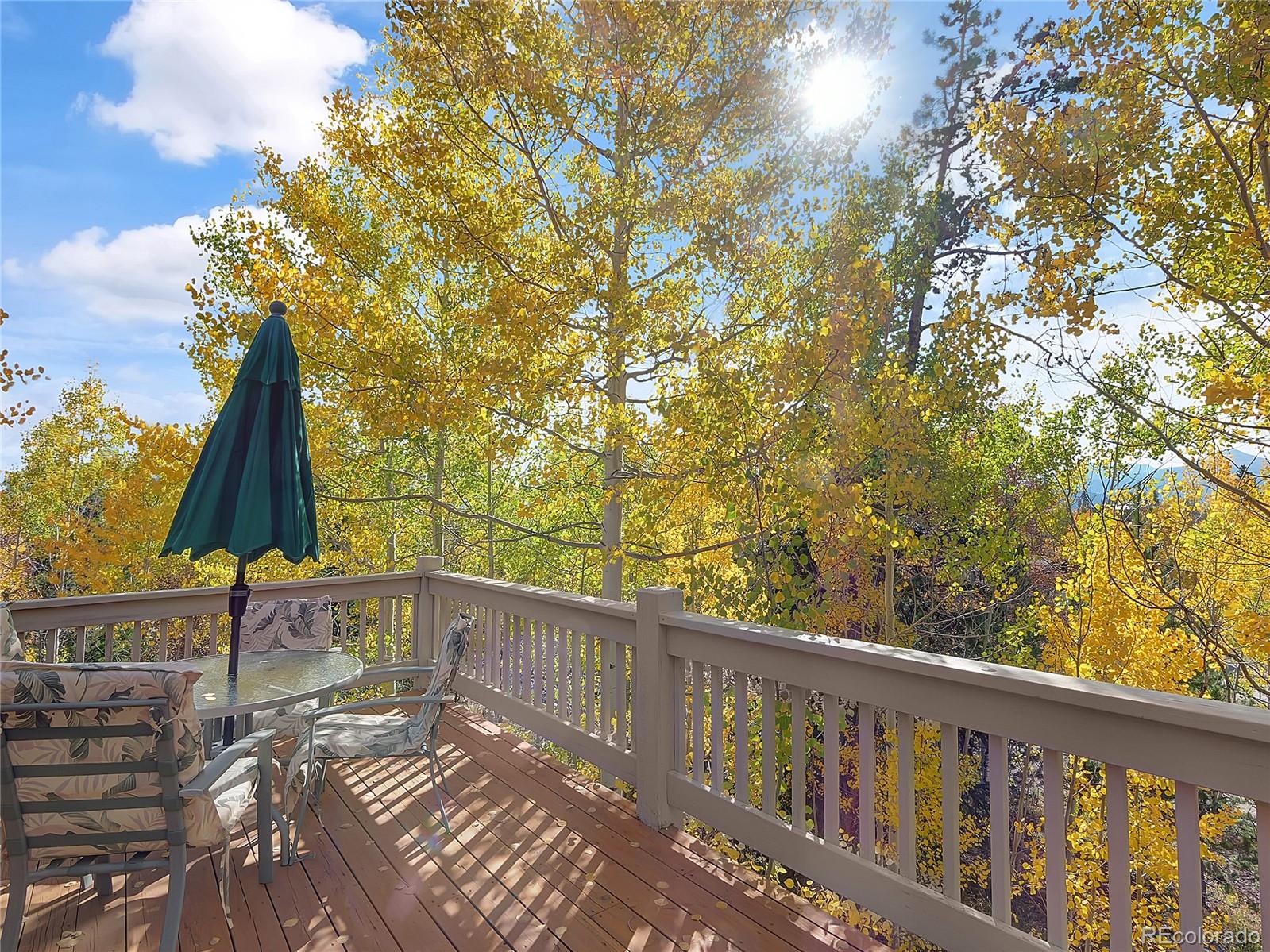28 Sky Pilot Drive Silverthorne CO 80498