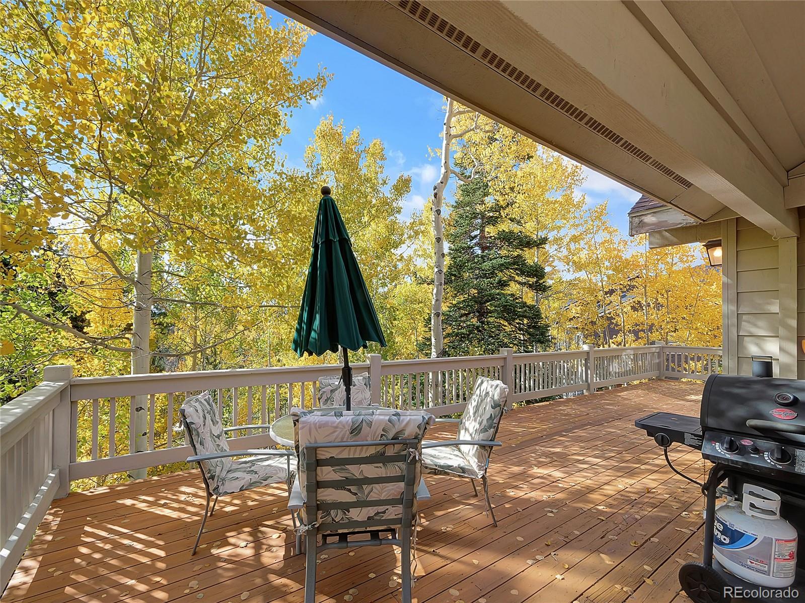 28 Sky Pilot Drive Silverthorne CO 80498
