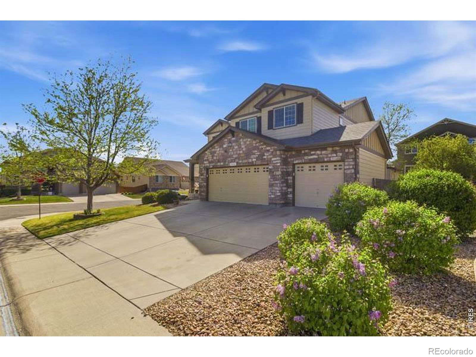 13313 Jersey Street Thornton CO 80602