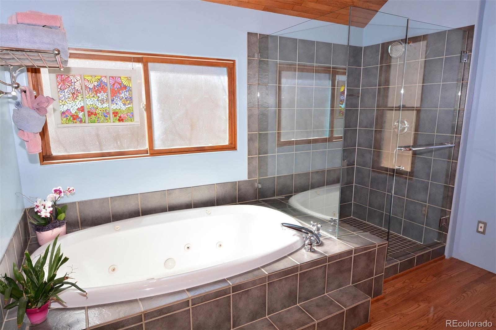 7630 Delmonico Drive Colorado Springs CO 80919
