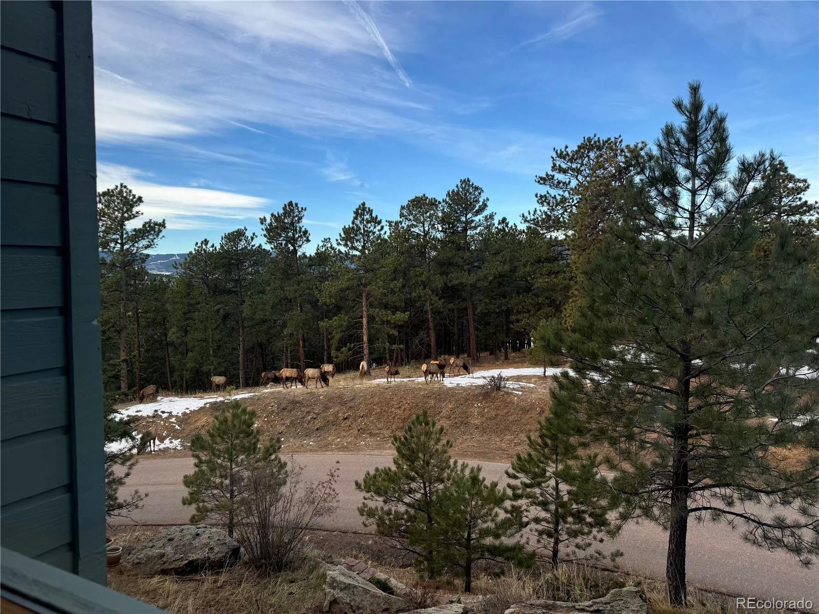 1624 Tamarac Drive Golden CO 80401