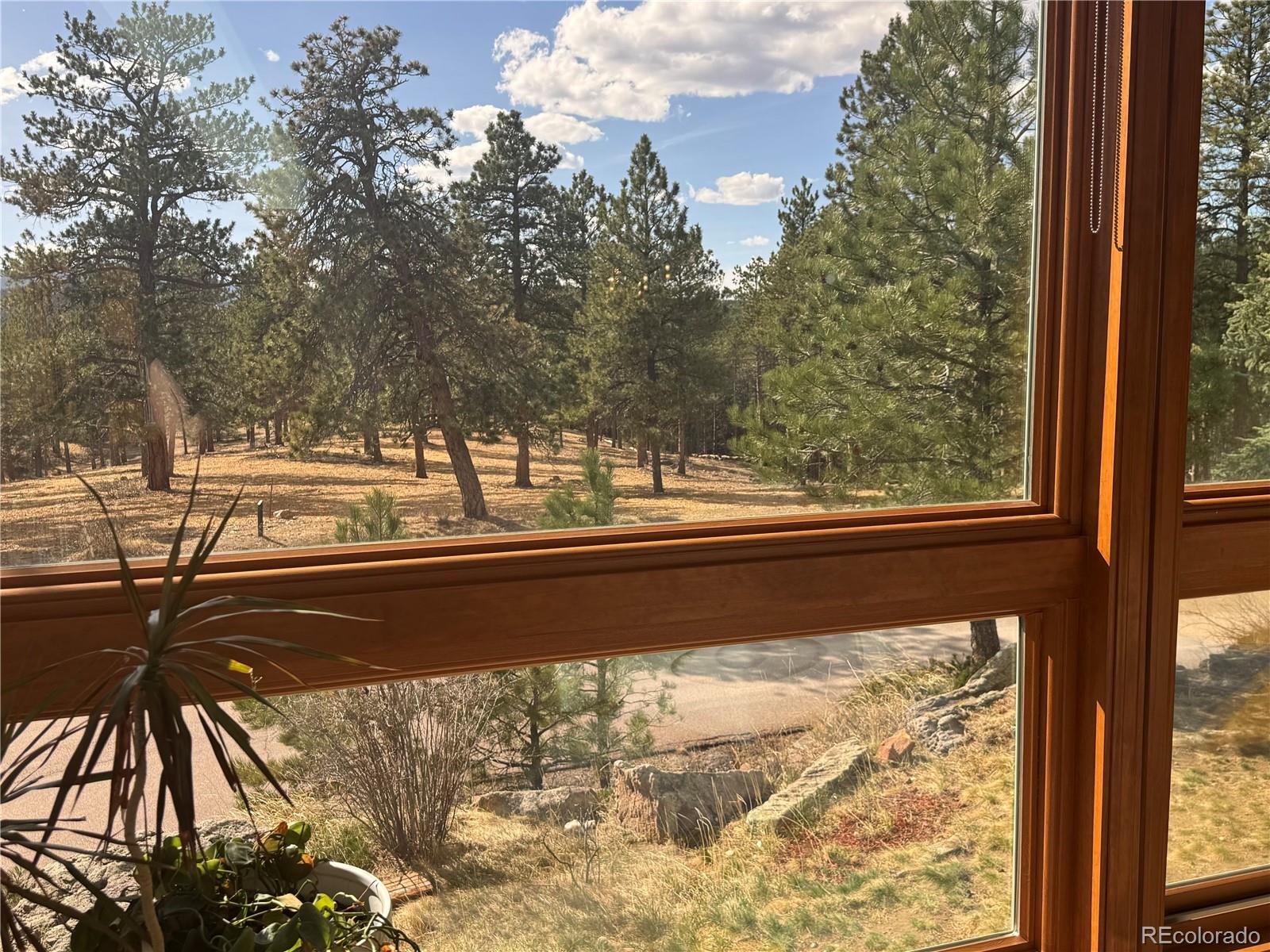 1624 Tamarac Drive Golden CO 80401