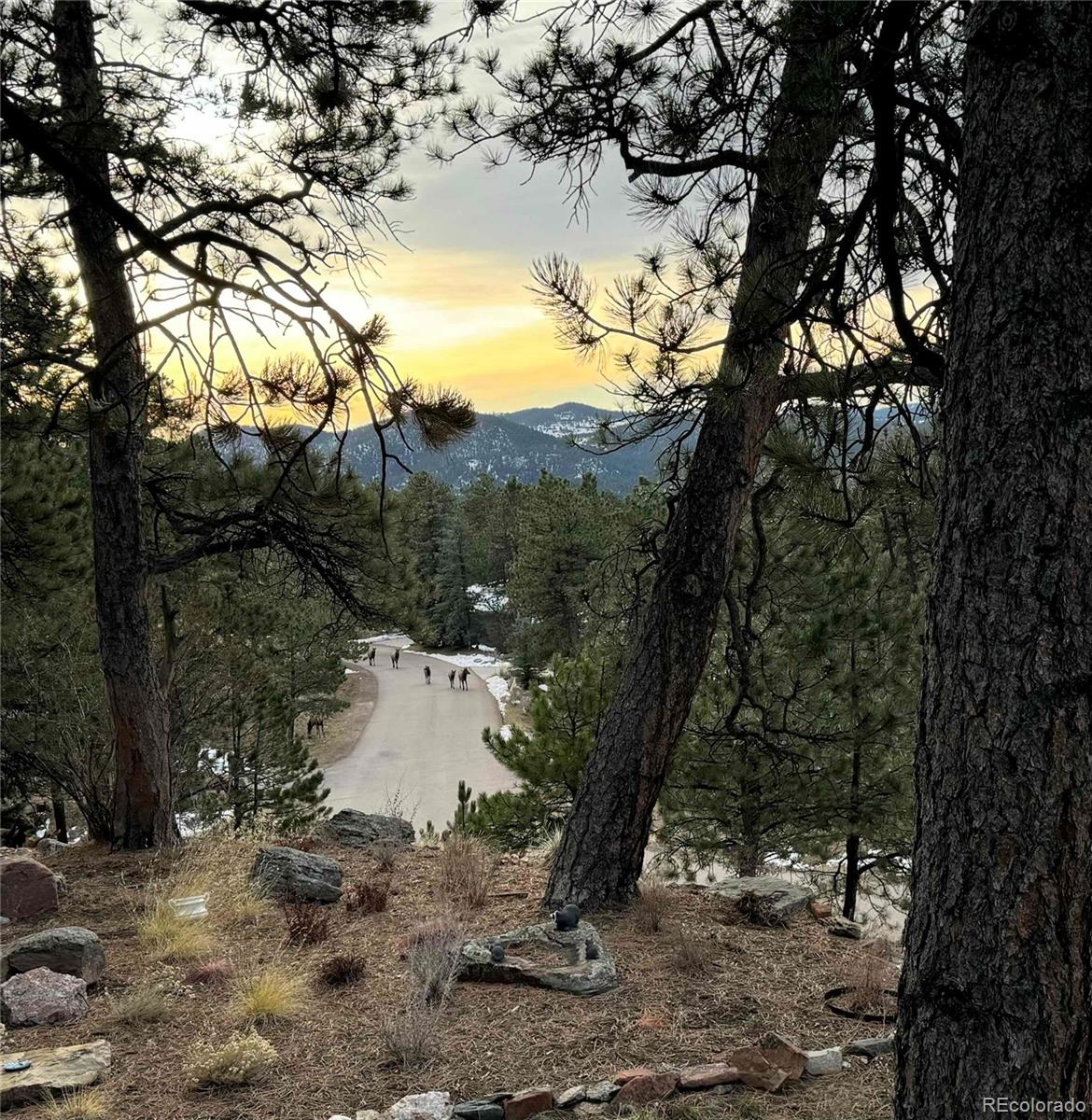 1624 Tamarac Drive Golden CO 80401