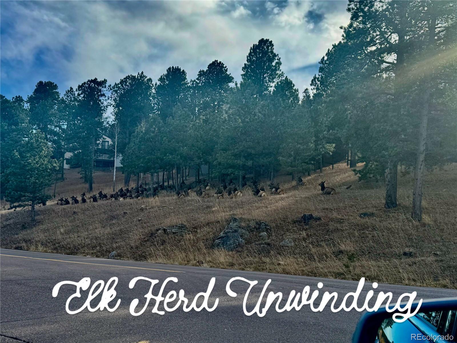 1624 Tamarac Drive Golden CO 80401