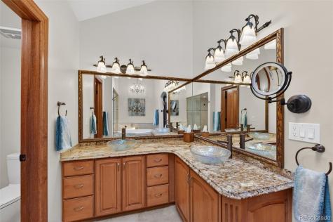 173 Willowleaf Drive Littleton CO 80127