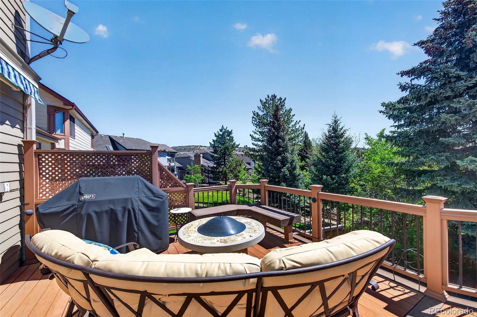 173 Willowleaf Drive Littleton CO 80127