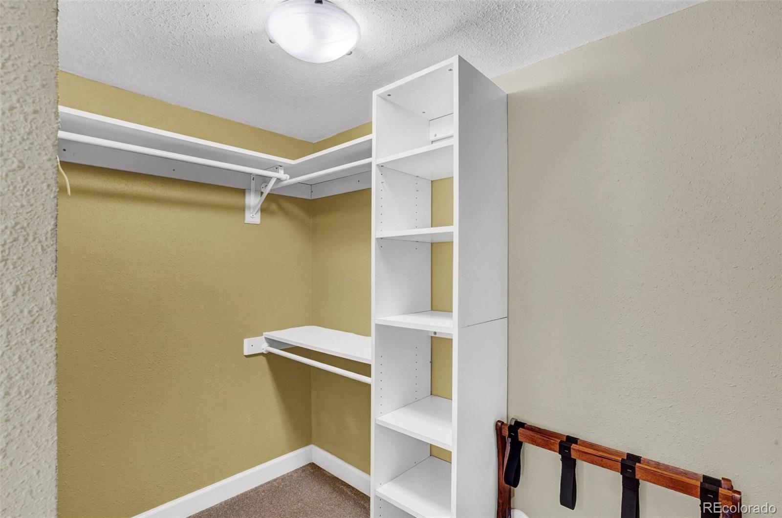 15510 Jessie Drive Colorado Springs CO 80921