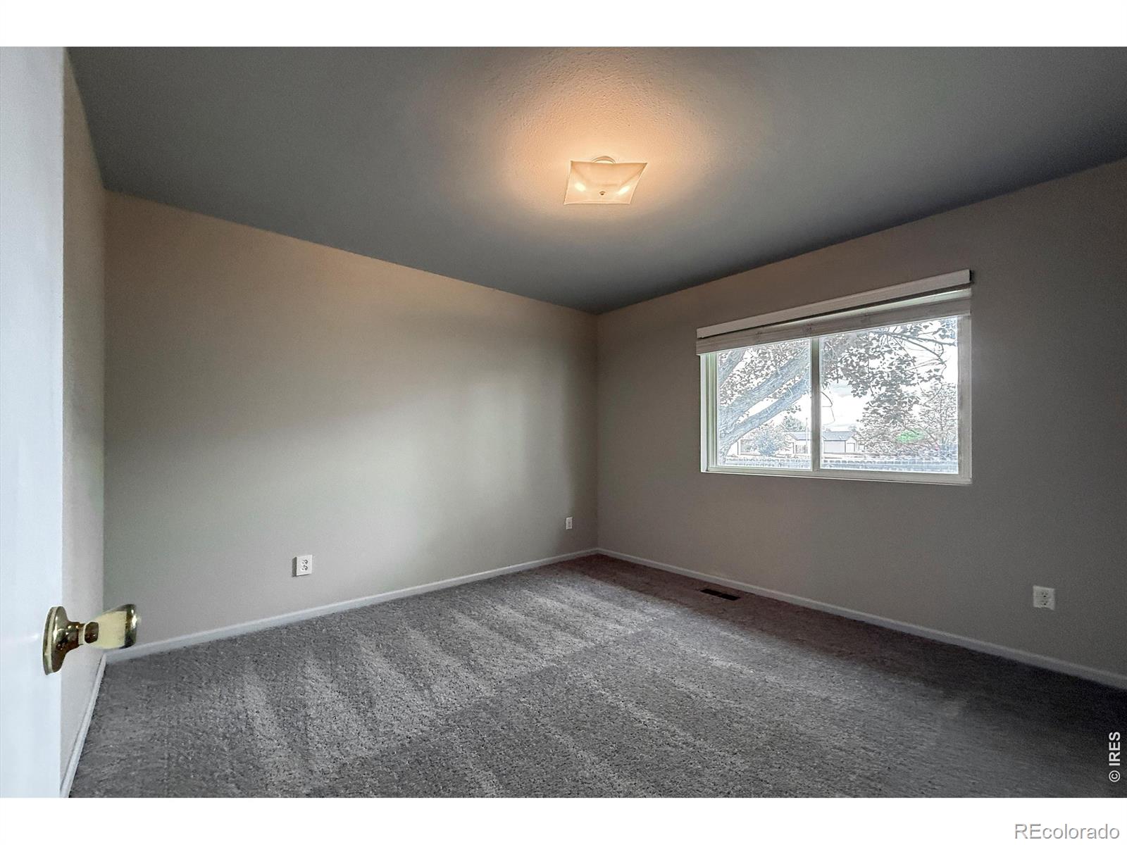 7854 3rd Street Wellington CO 80549