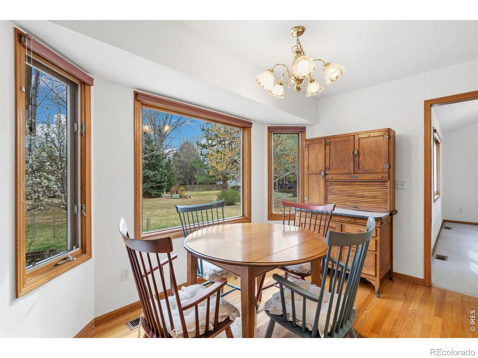 1407 Silk Oak Drive Fort Collins CO 80525
