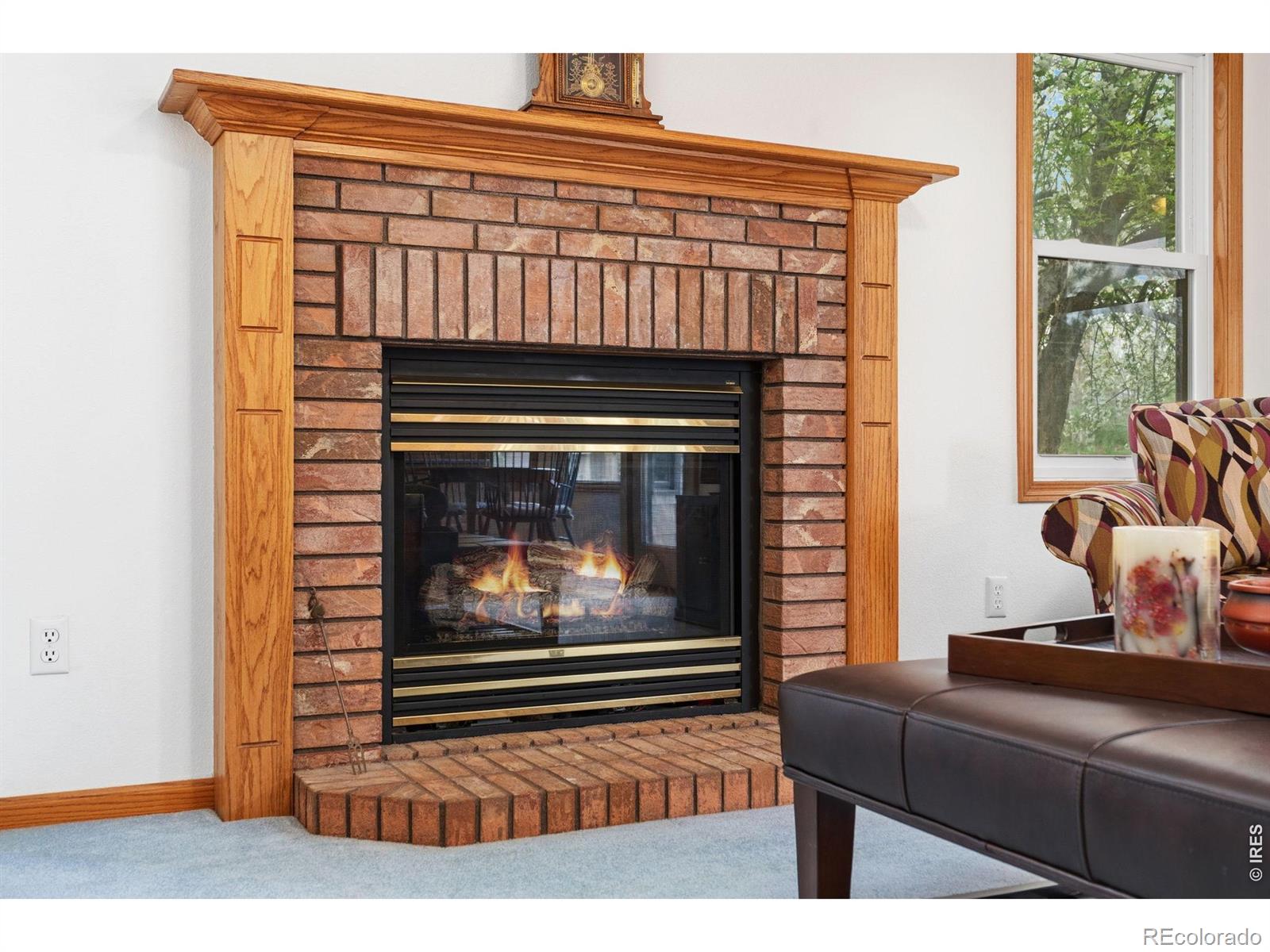 1407 Silk Oak Drive Fort Collins CO 80525
