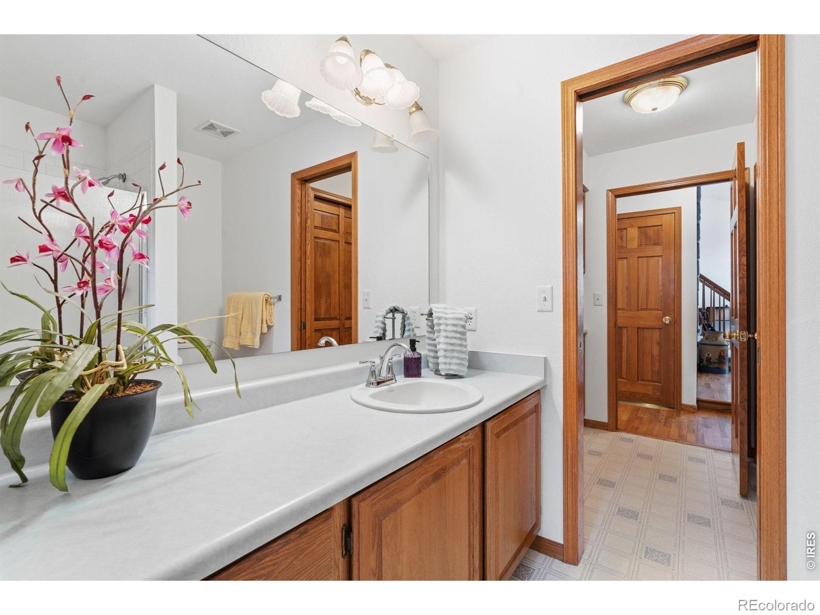 1407 Silk Oak Drive Fort Collins CO 80525