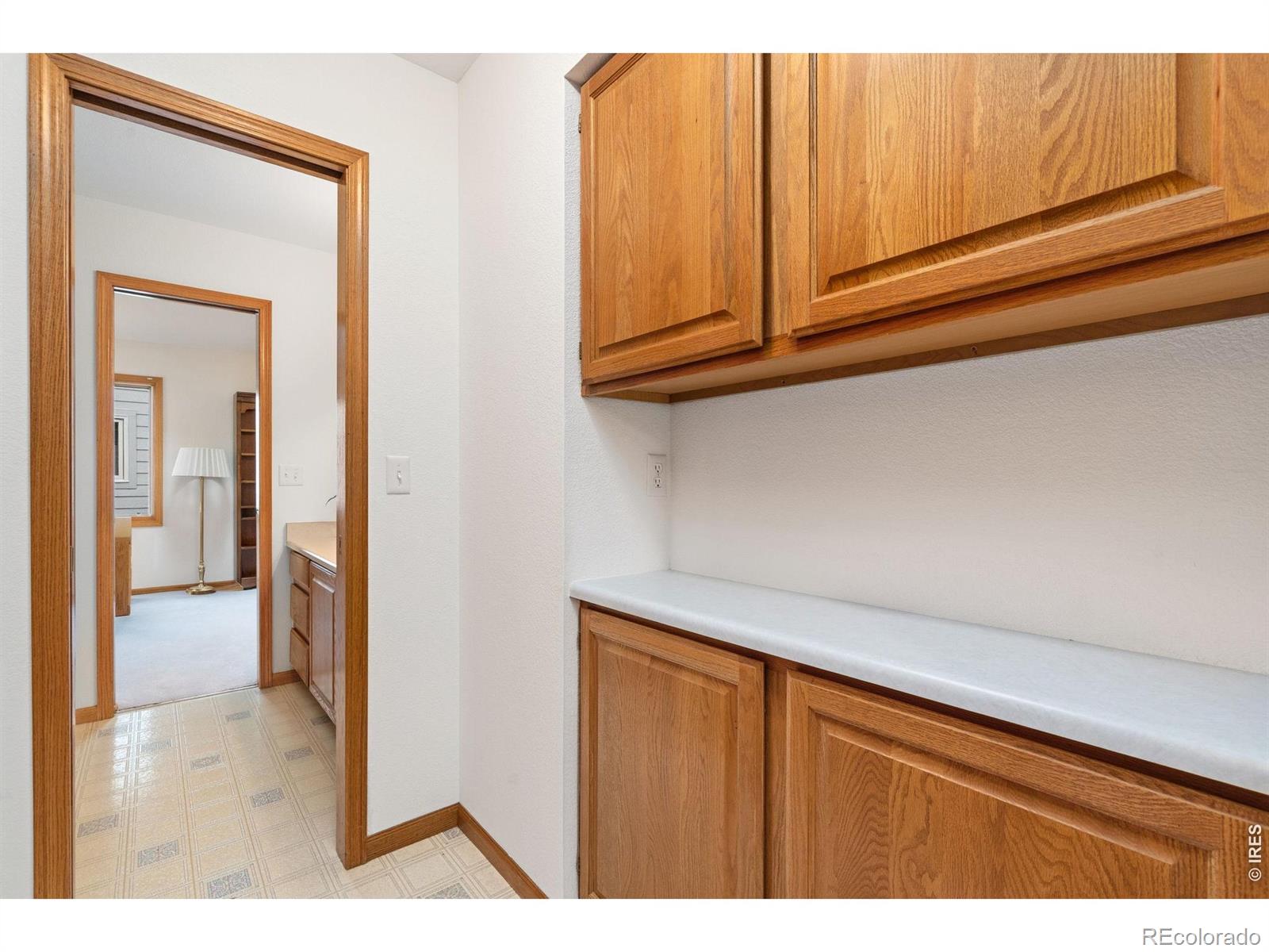 1407 Silk Oak Drive Fort Collins CO 80525