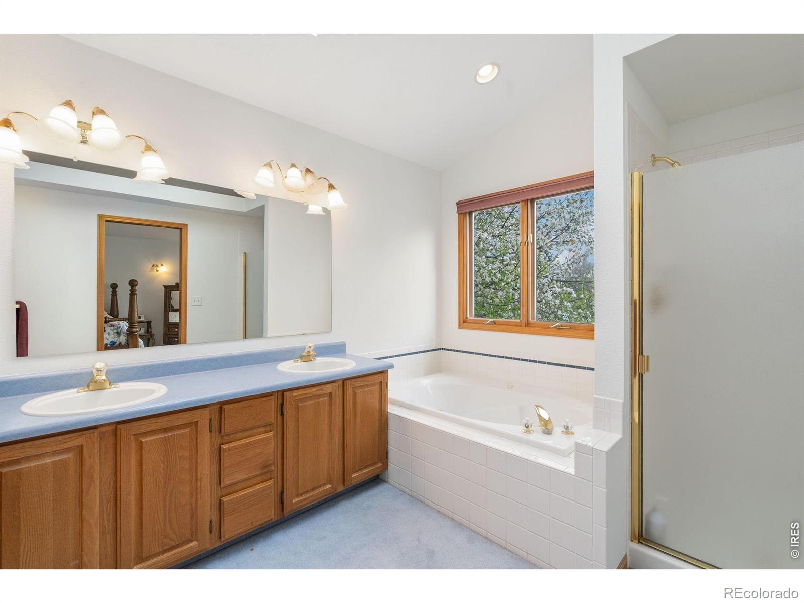 1407 Silk Oak Drive Fort Collins CO 80525