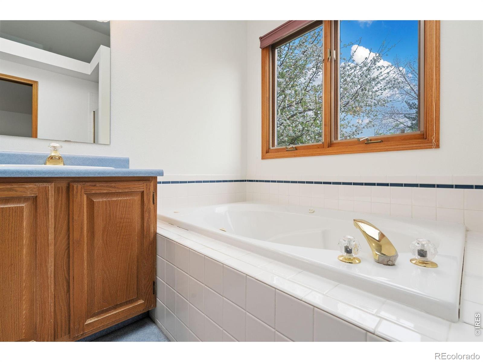 1407 Silk Oak Drive Fort Collins CO 80525