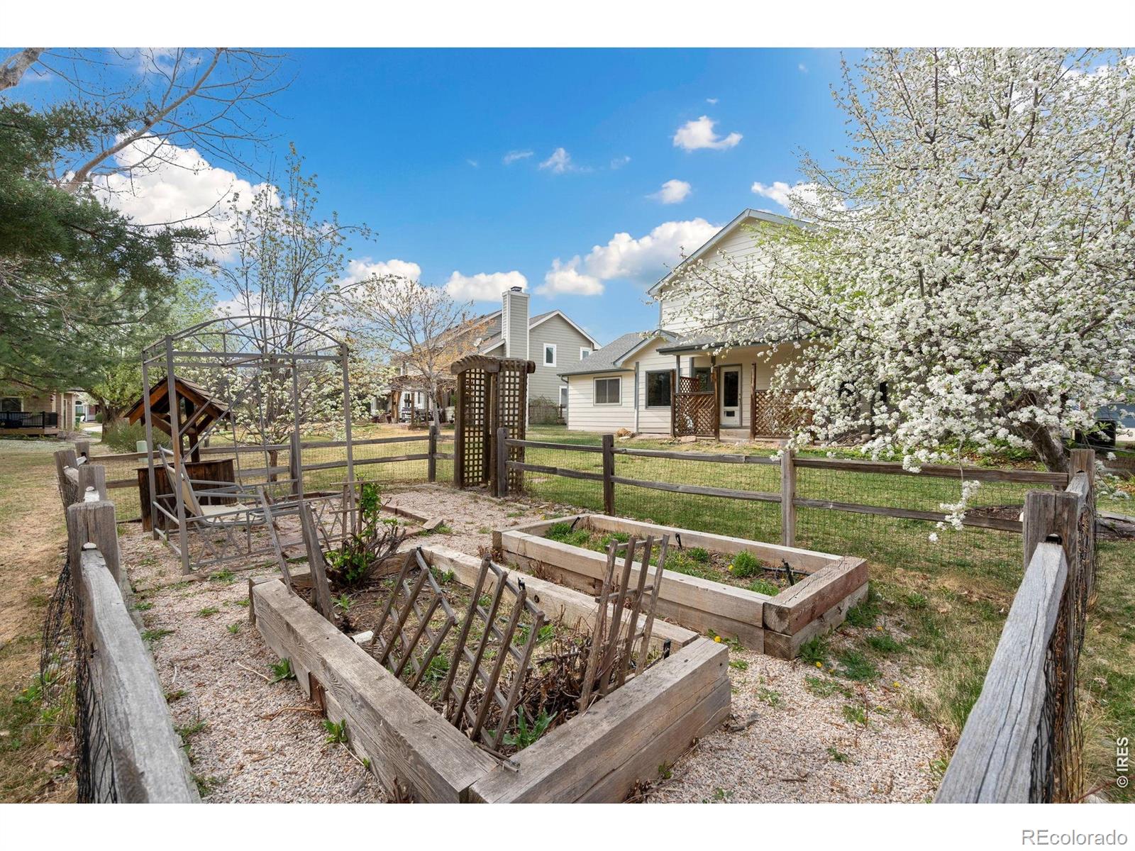1407 Silk Oak Drive Fort Collins CO 80525