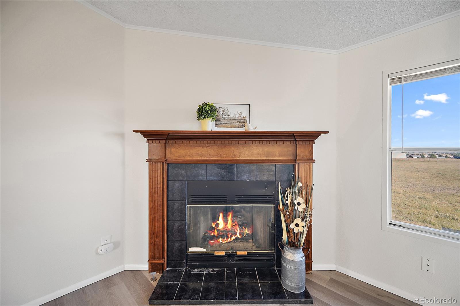 15125 Ewing Court Peyton CO 80831