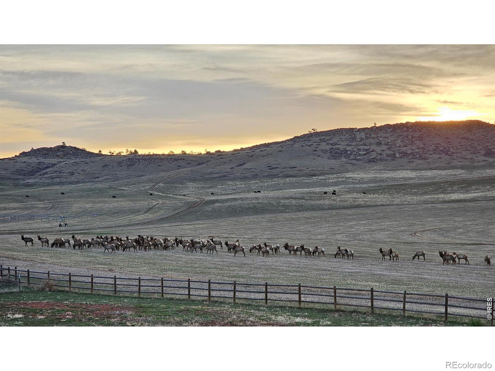7864 Heart J Trail Loveland CO 80537