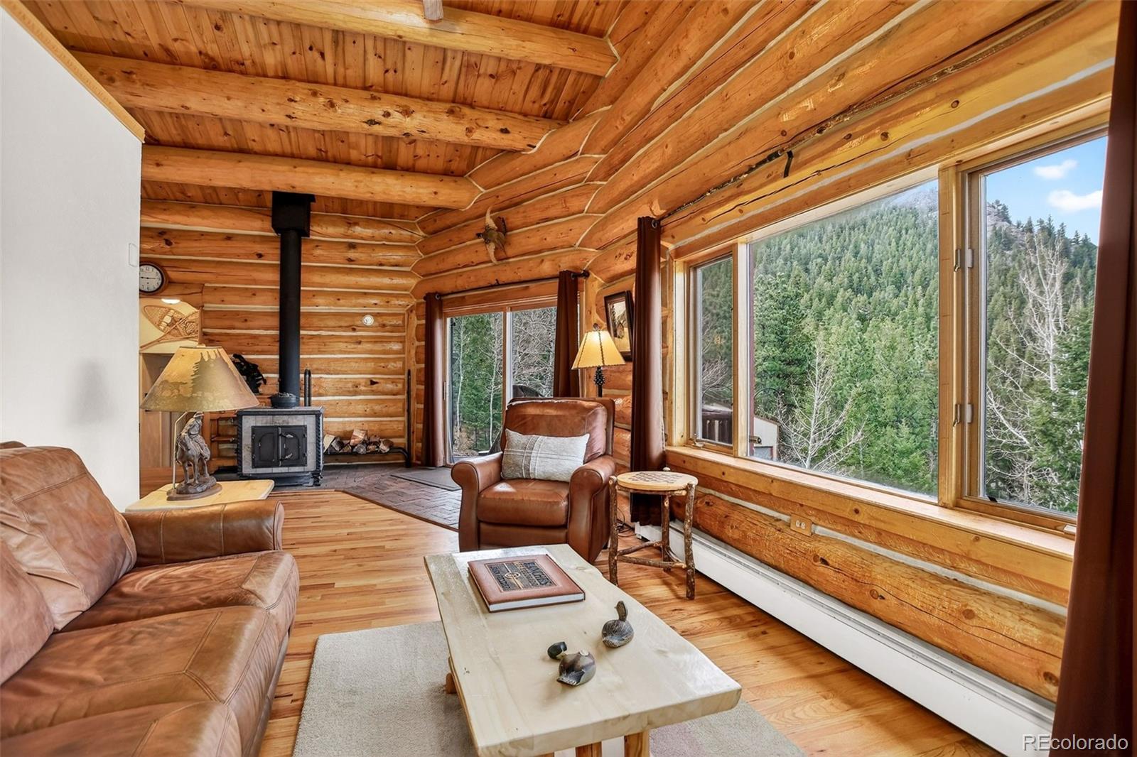 626 Aspen Lane Bailey CO 80421