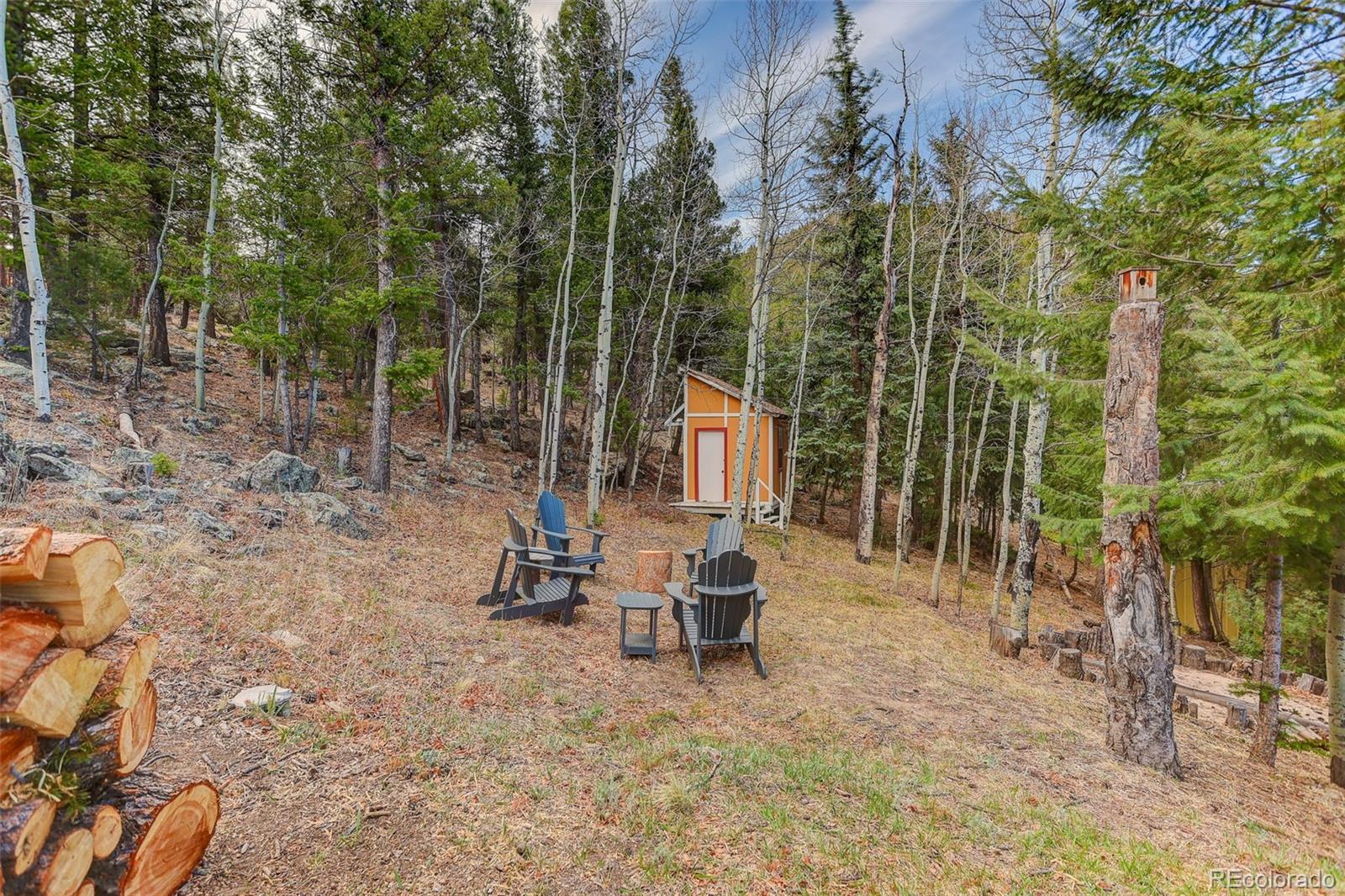 626 Aspen Lane Bailey CO 80421