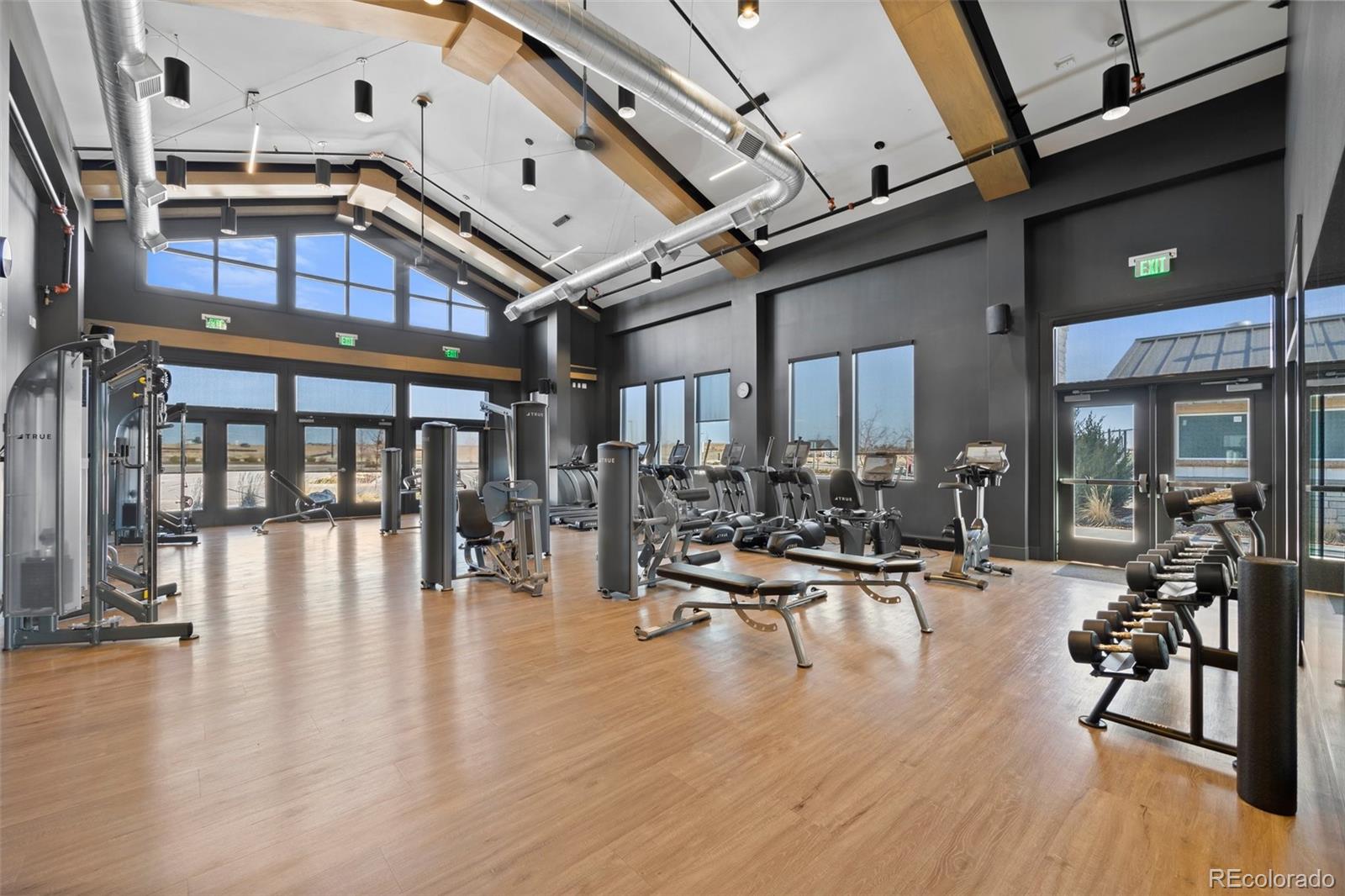 5037 N Quemoy Street Aurora CO 80019