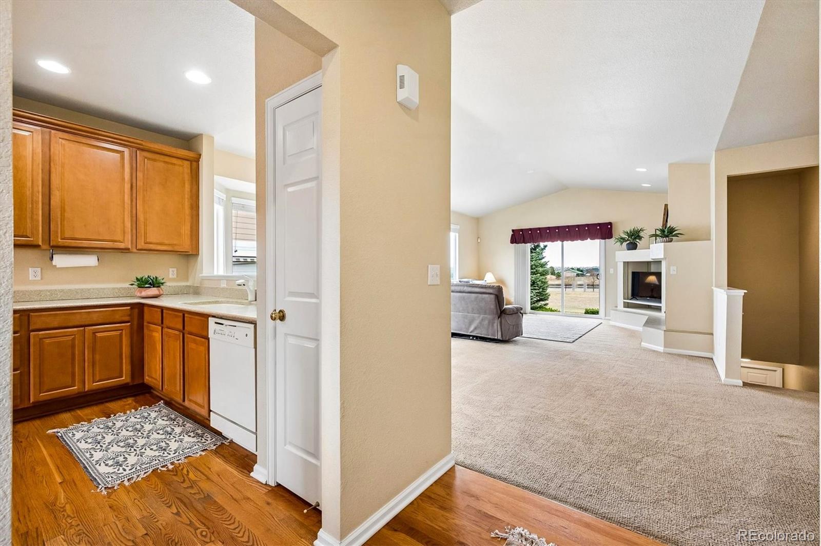16754 E Black Horn Drive Parker CO 80134