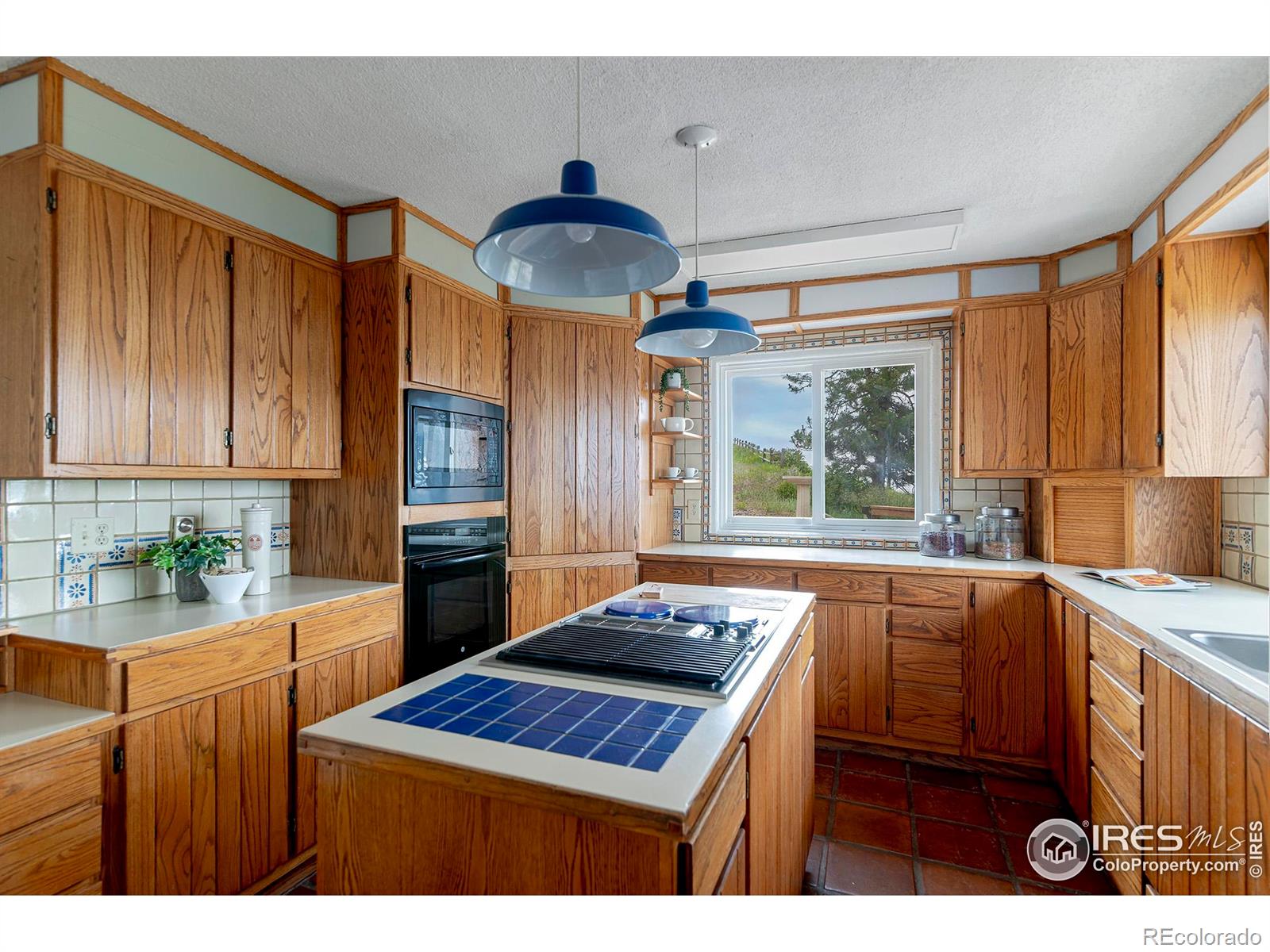 3884 Douglas Mountain Drive Golden CO 80403