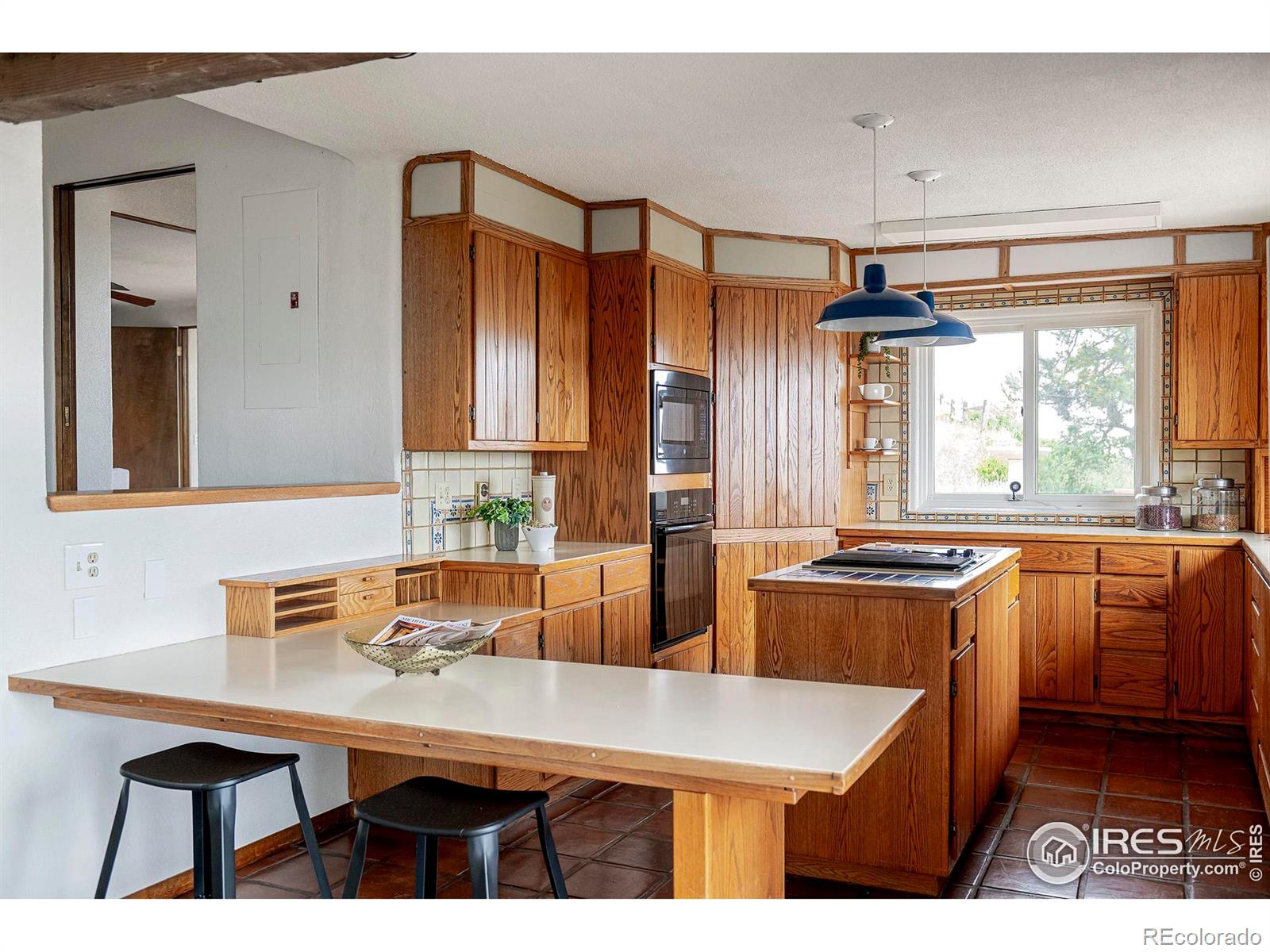 3884 Douglas Mountain Drive Golden CO 80403