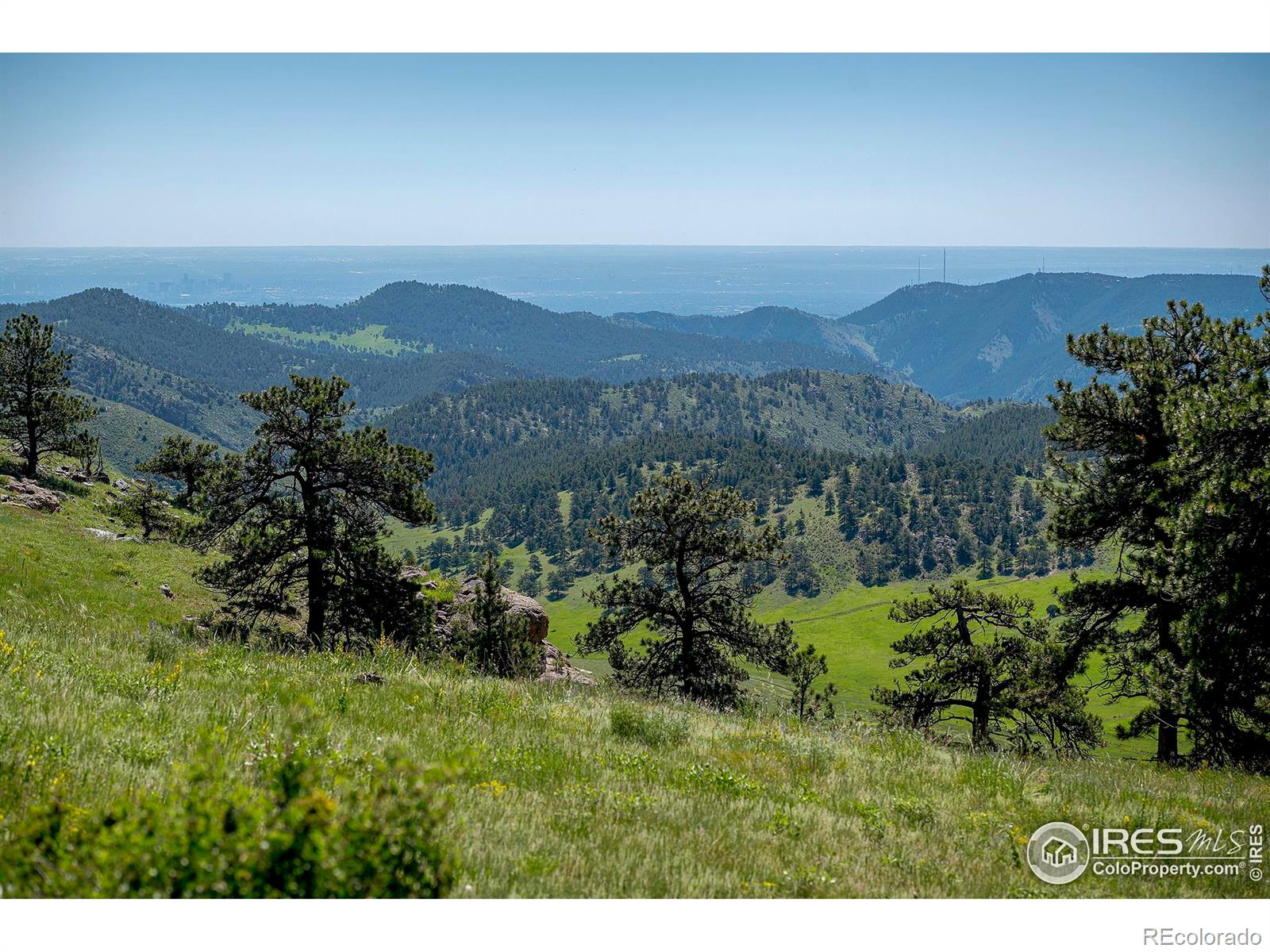 3884 Douglas Mountain Drive Golden CO 80403