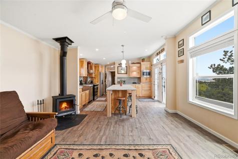 291 Bandolier Court Hartsel CO 80449
