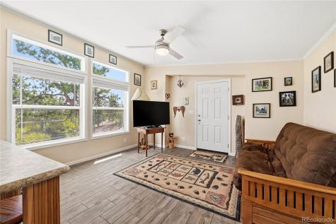 291 Bandolier Court Hartsel CO 80449