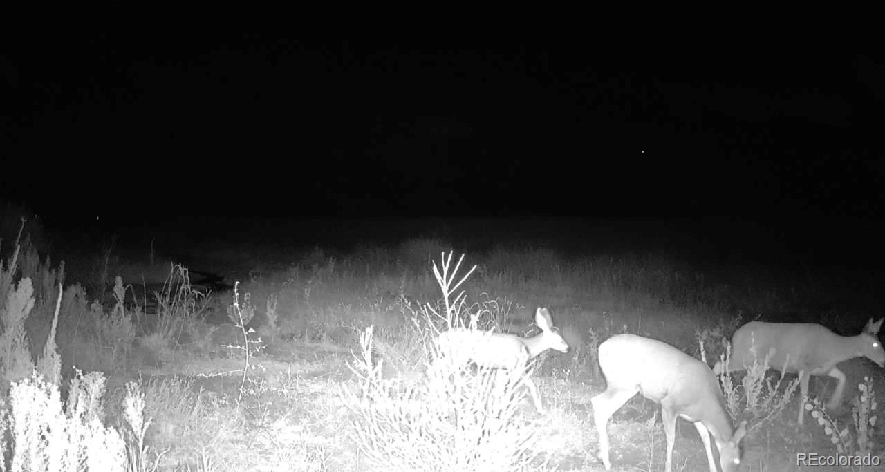 18320 Falcon Highway Peyton CO 80831