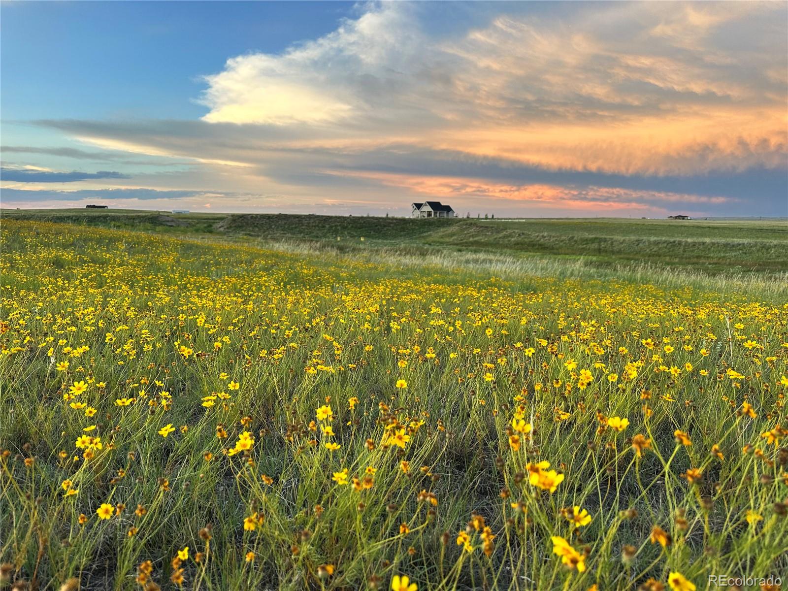 18320 Falcon Highway Peyton CO 80831