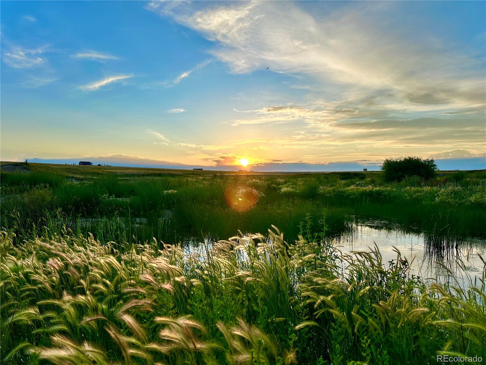 18320 Falcon Highway Peyton CO 80831