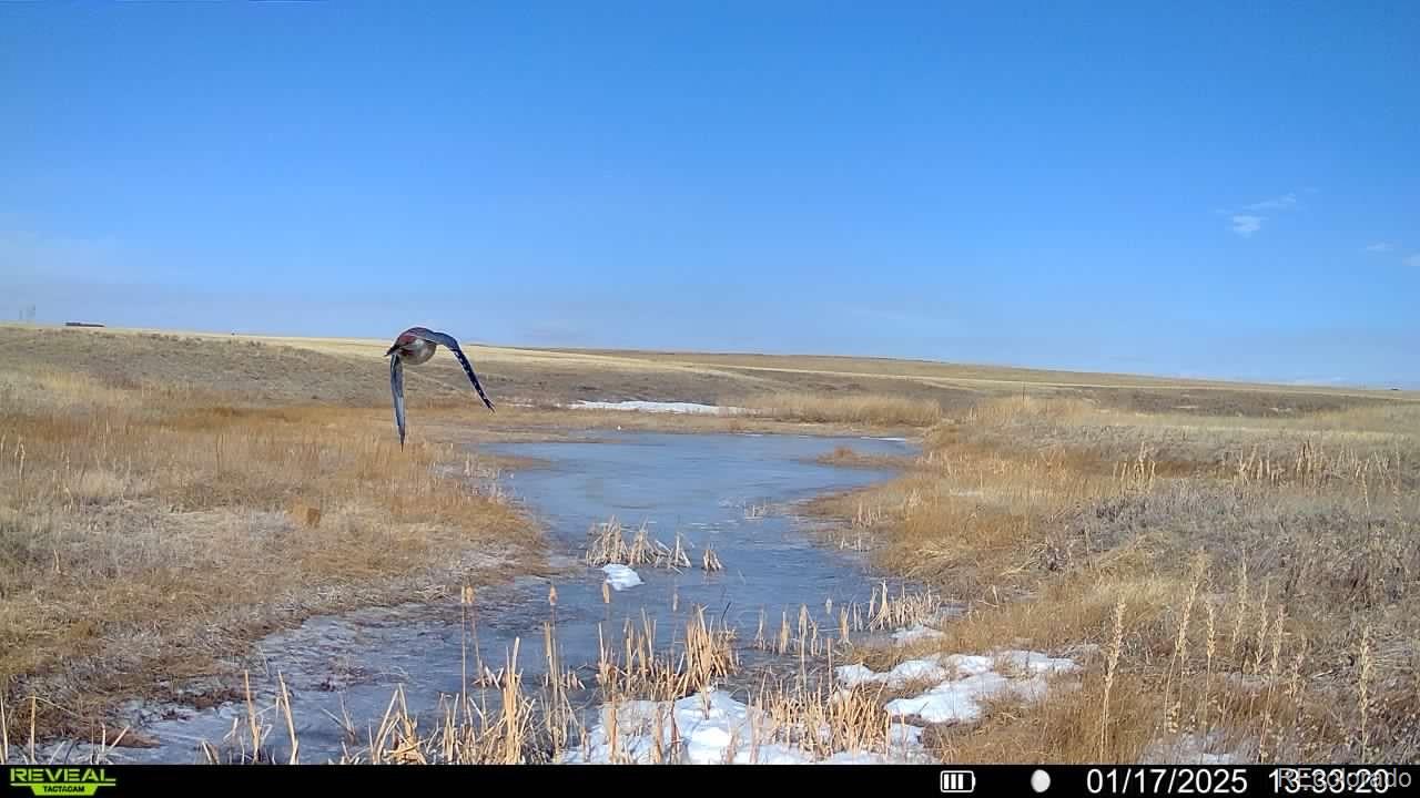 18320 Falcon Highway Peyton CO 80831